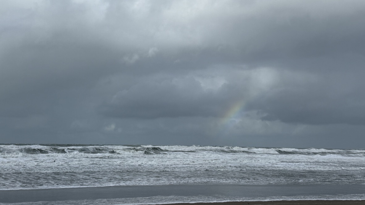 Een deelnemer van Ride the Wave surft een golf terwijl andere deelnemers in zee liggen.